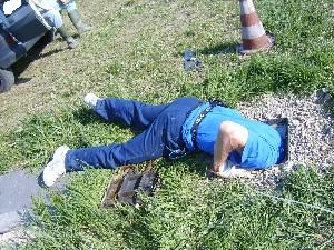 Cosa sta cercando?